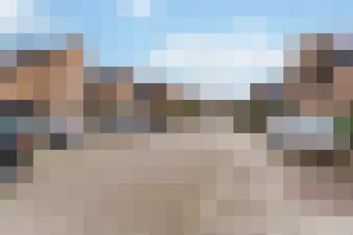 Standerdmolen 10 Papendrecht thumbnail 58