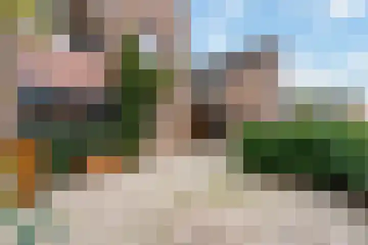 Standerdmolen 10 Papendrecht thumbnail 7