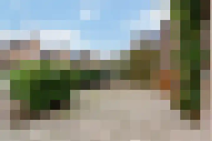 Standerdmolen 10 Papendrecht thumbnail 8