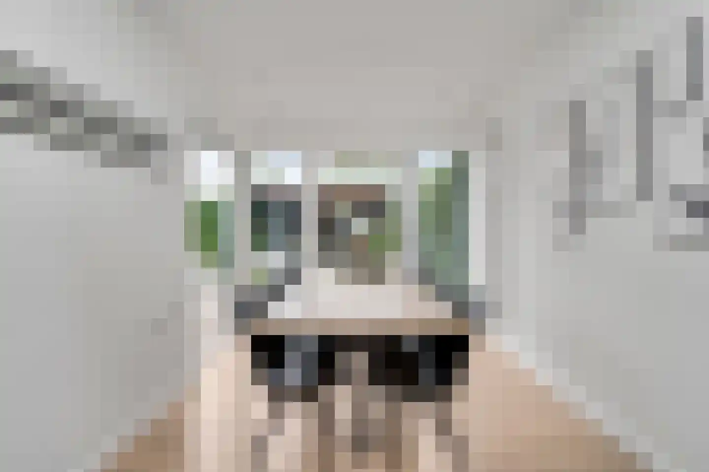 Standerdmolen 102 Herten thumbnail 14