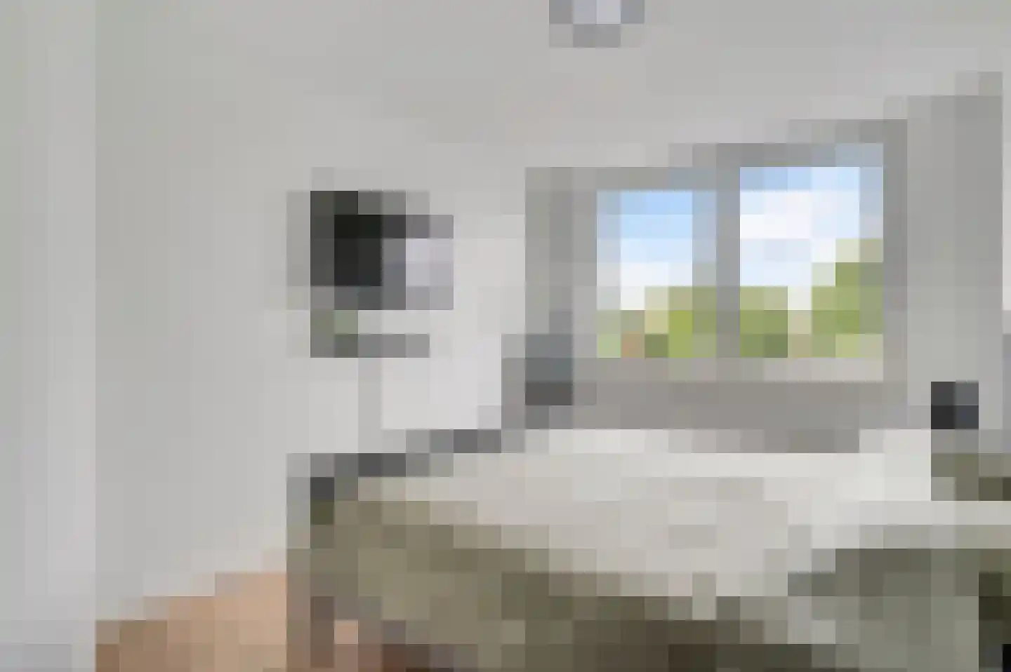 Standerdmolen 102 Herten thumbnail 28