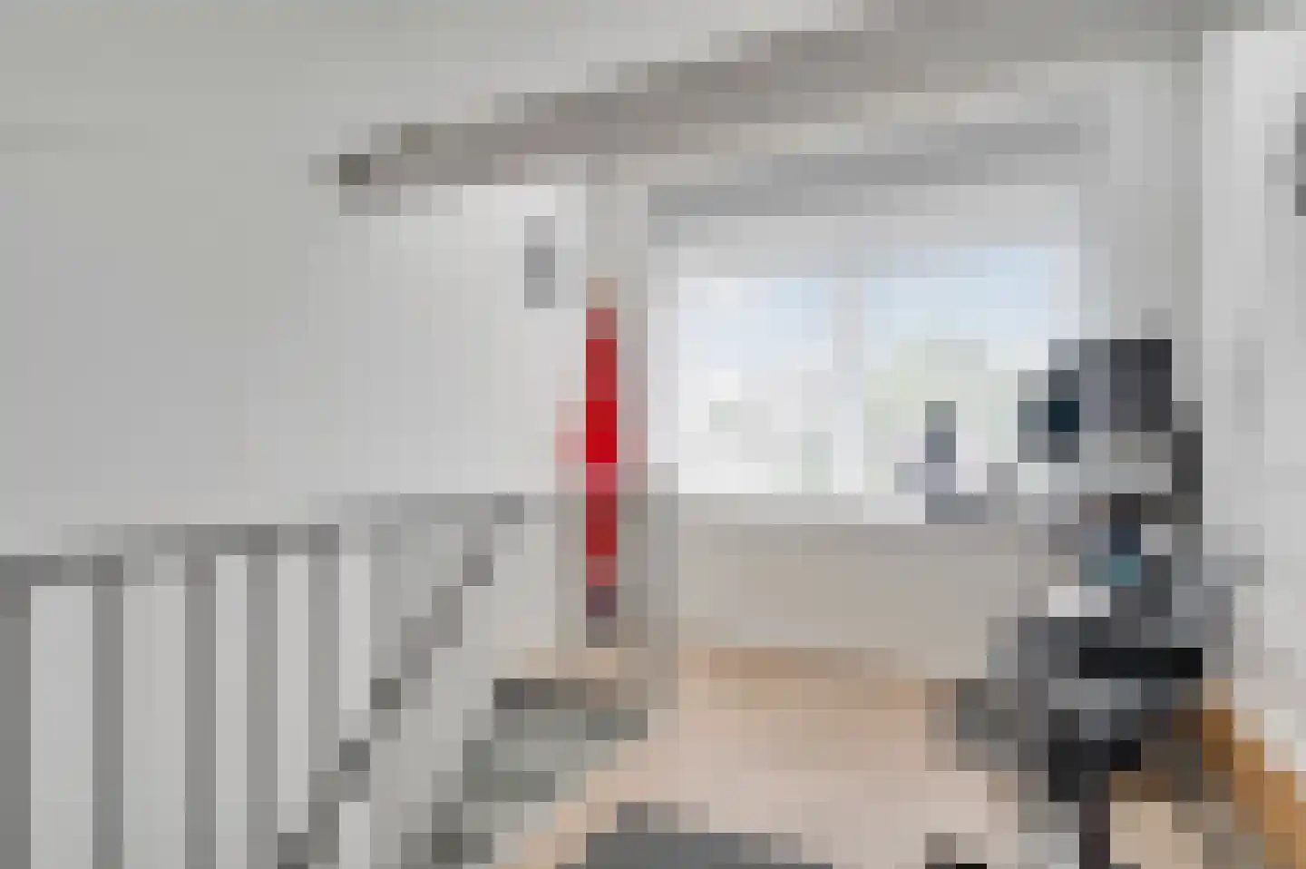 Standerdmolen 102 Herten thumbnail 32