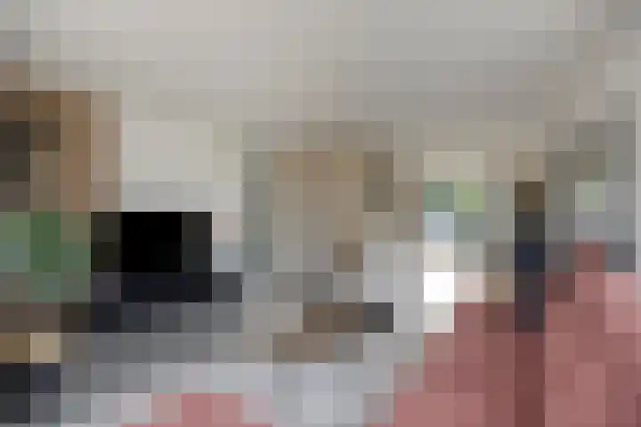 Standerdmolen 110 Herten thumbnail 11