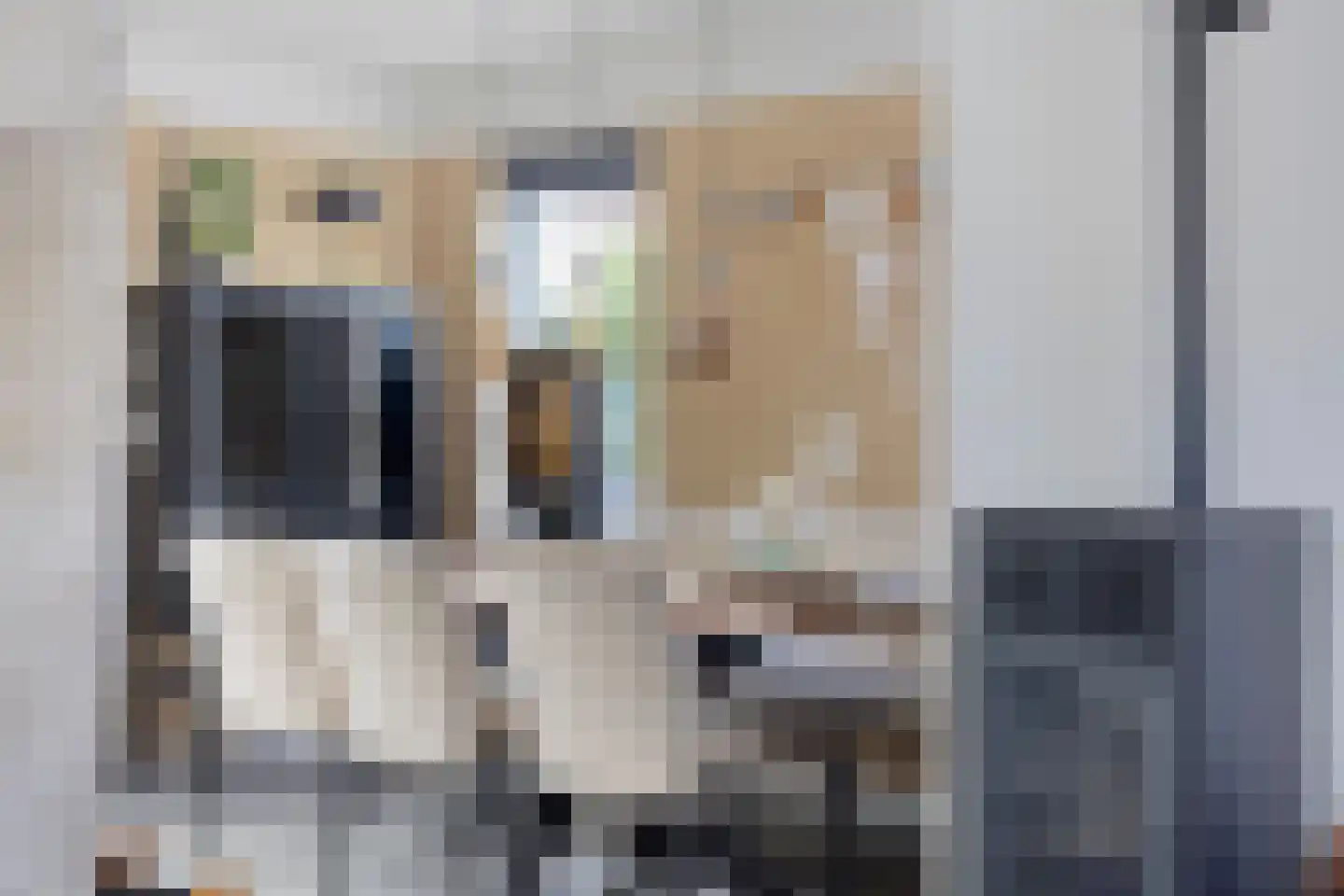 Standerdmolen 110 Herten thumbnail 15