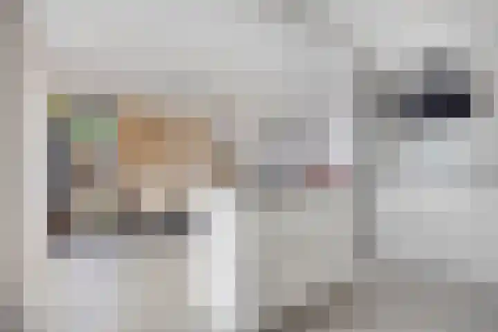 Standerdmolen 110 Herten thumbnail 16