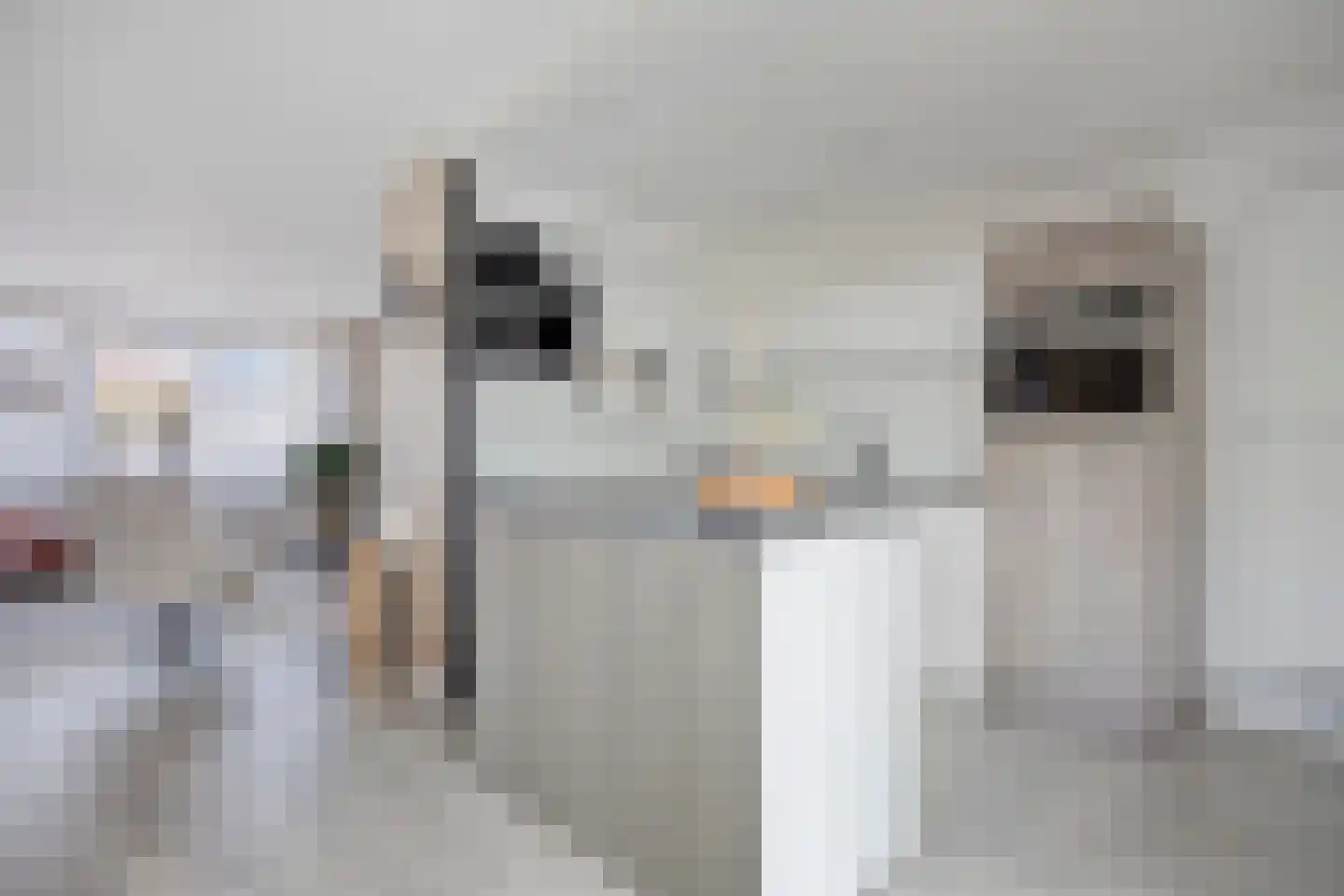 Standerdmolen 110 Herten thumbnail 17