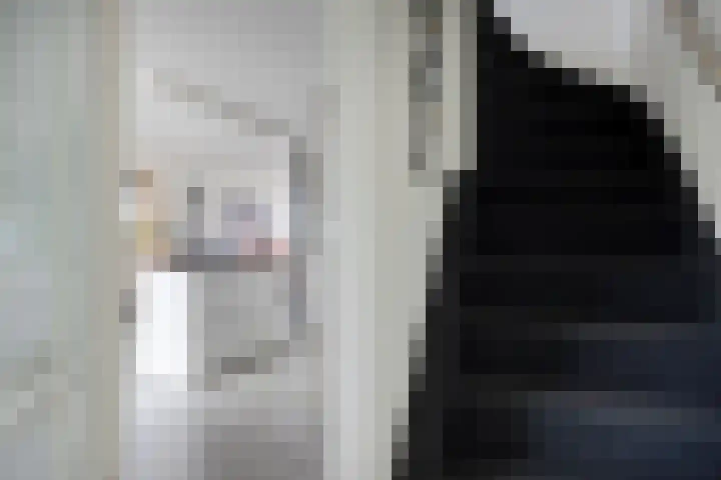 Standerdmolen 110 Herten thumbnail 24