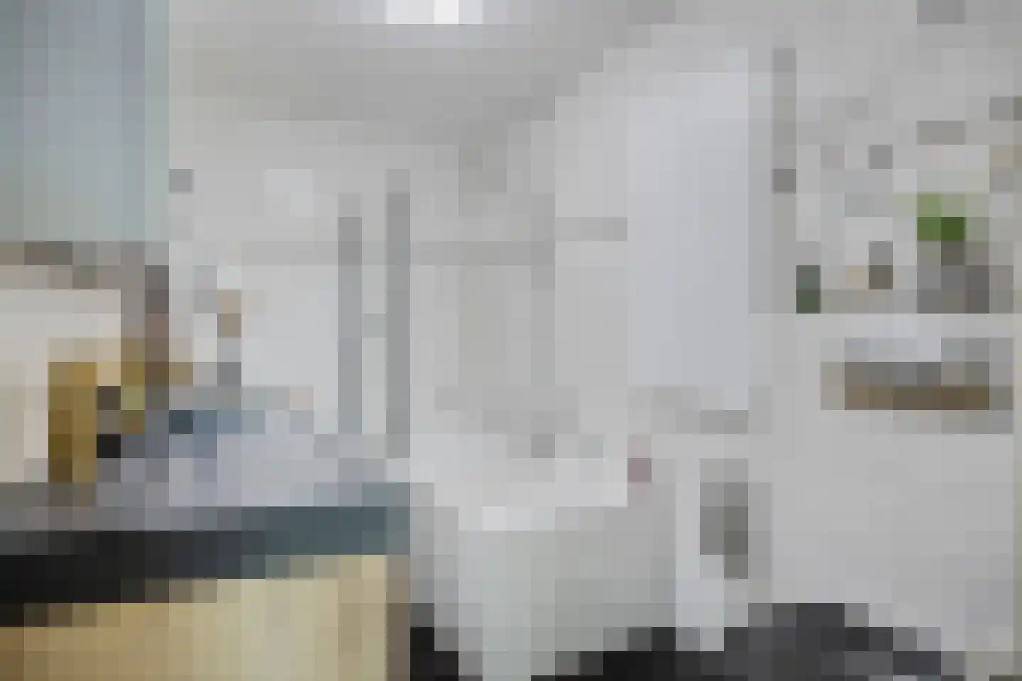 Standerdmolen 110 Herten thumbnail 30