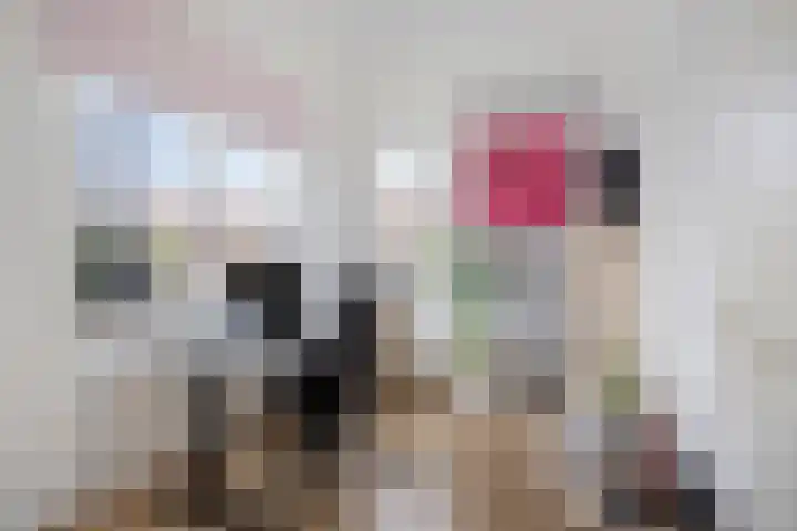 Standerdmolen 110 Herten thumbnail 37