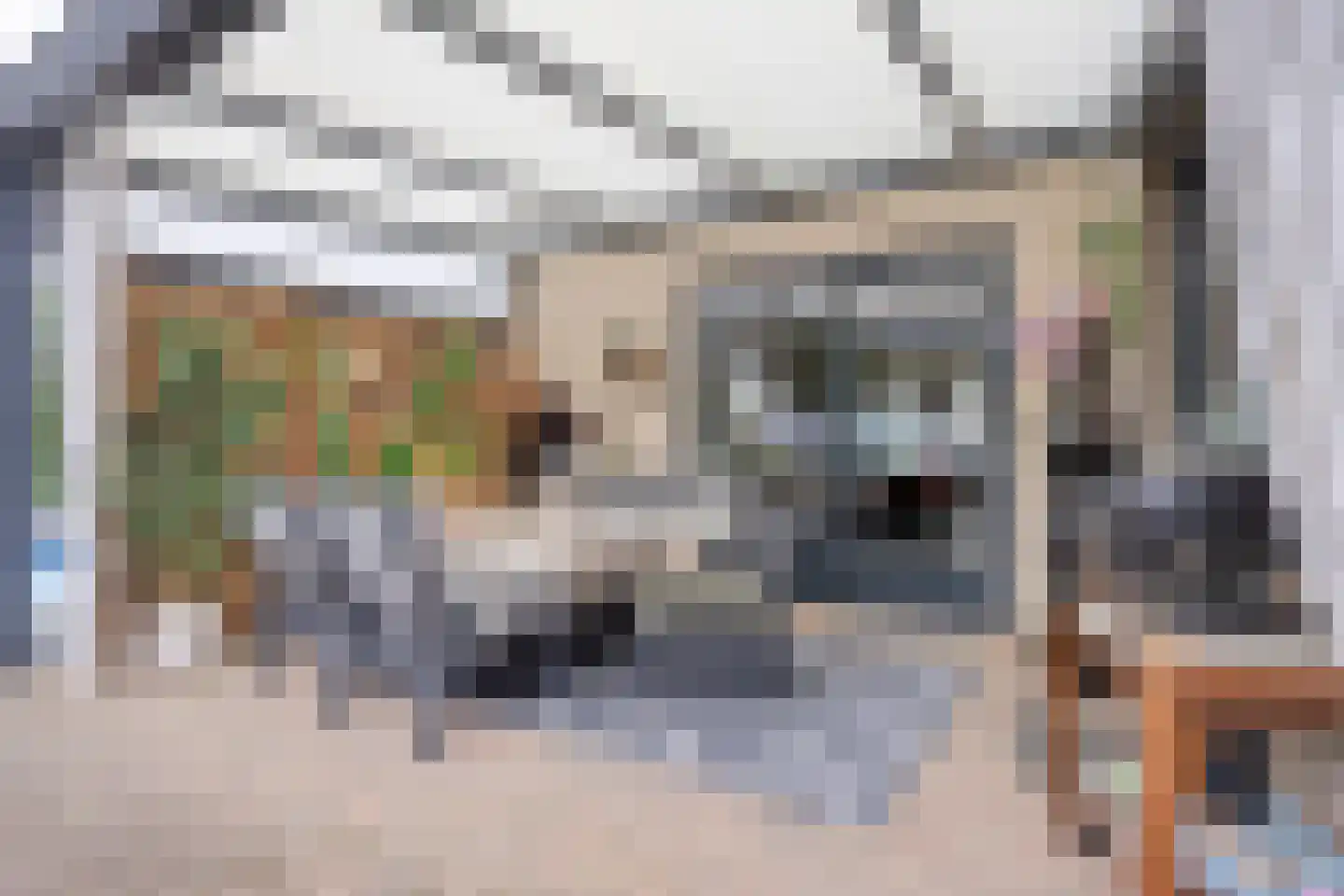 Standerdmolen 110 Herten thumbnail 38