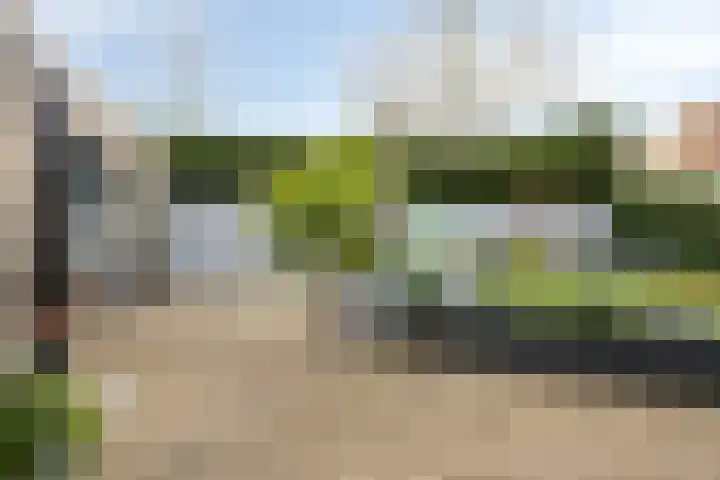 Standerdmolen 110 Herten thumbnail 39