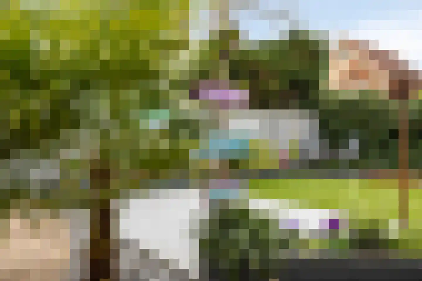 Standerdmolen 110 Herten thumbnail 40