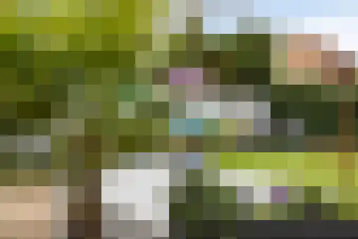 Standerdmolen 110 Herten thumbnail 40