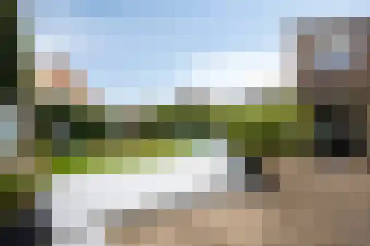 Standerdmolen 110 Herten thumbnail 42