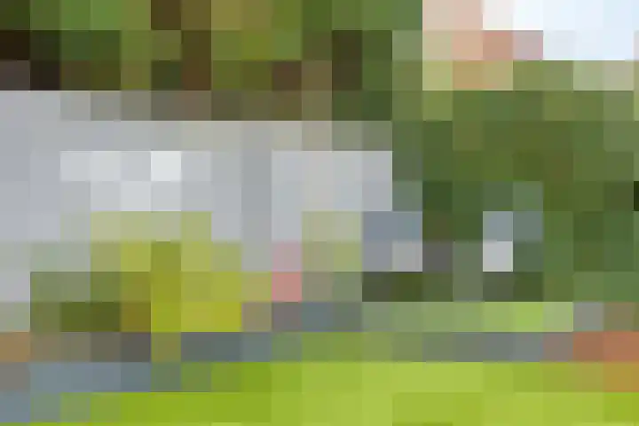Standerdmolen 110 Herten thumbnail 43