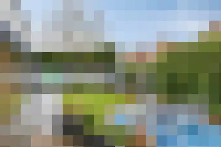 Standerdmolen 110 Herten thumbnail 45