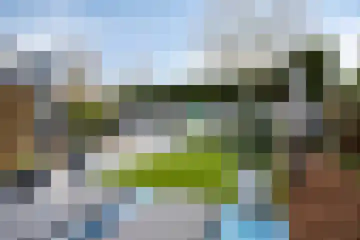 Standerdmolen 110 Herten thumbnail 46