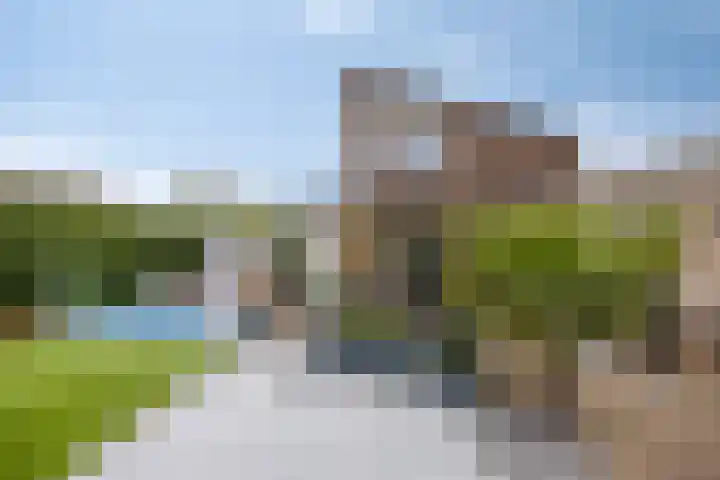 Standerdmolen 110 Herten thumbnail 47