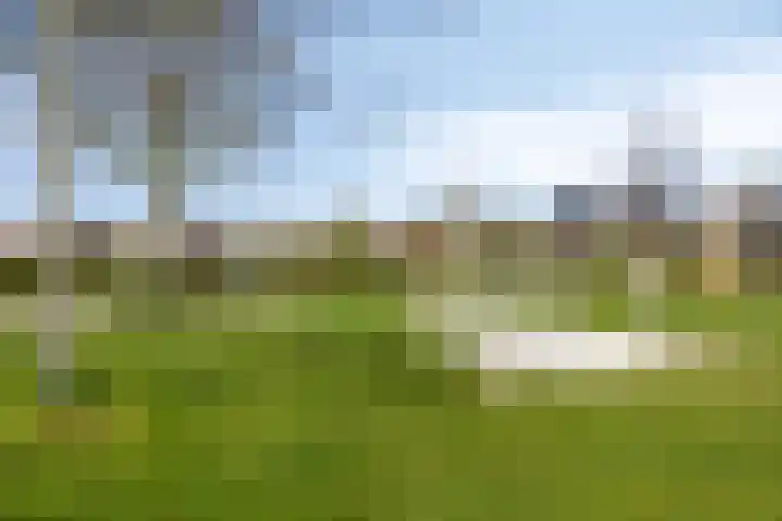 Standerdmolen 110 Herten thumbnail 48