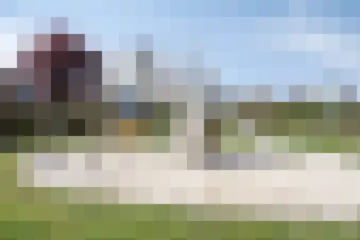 Standerdmolen 110 Herten thumbnail 49