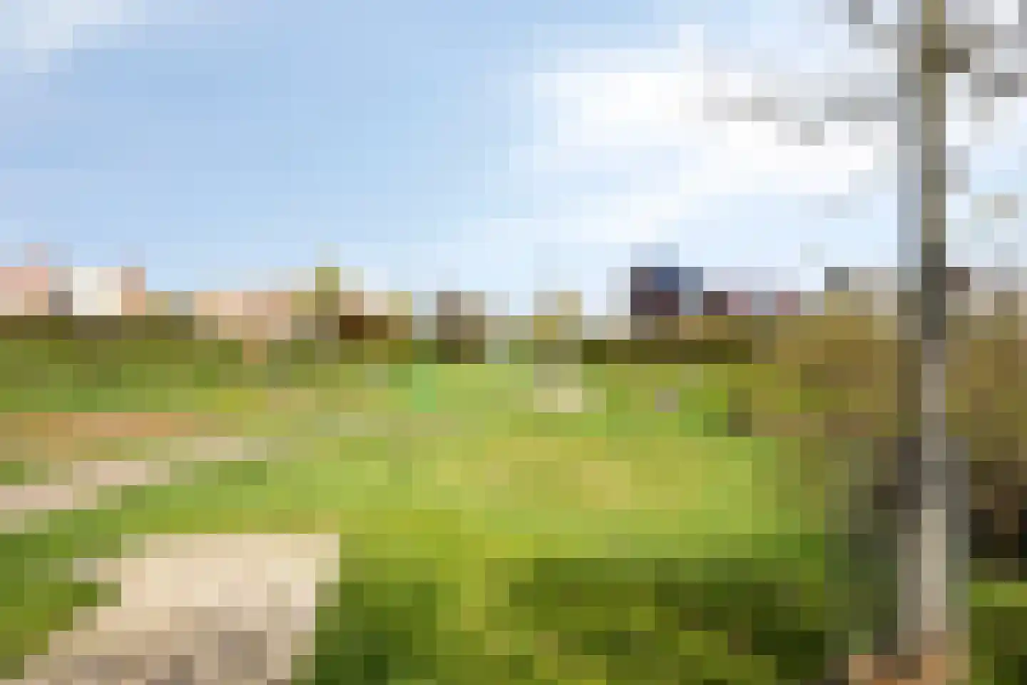 Standerdmolen 110 Herten thumbnail 51