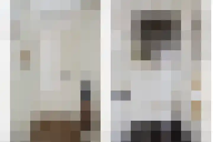 Standerdmolen 110 Herten thumbnail 7