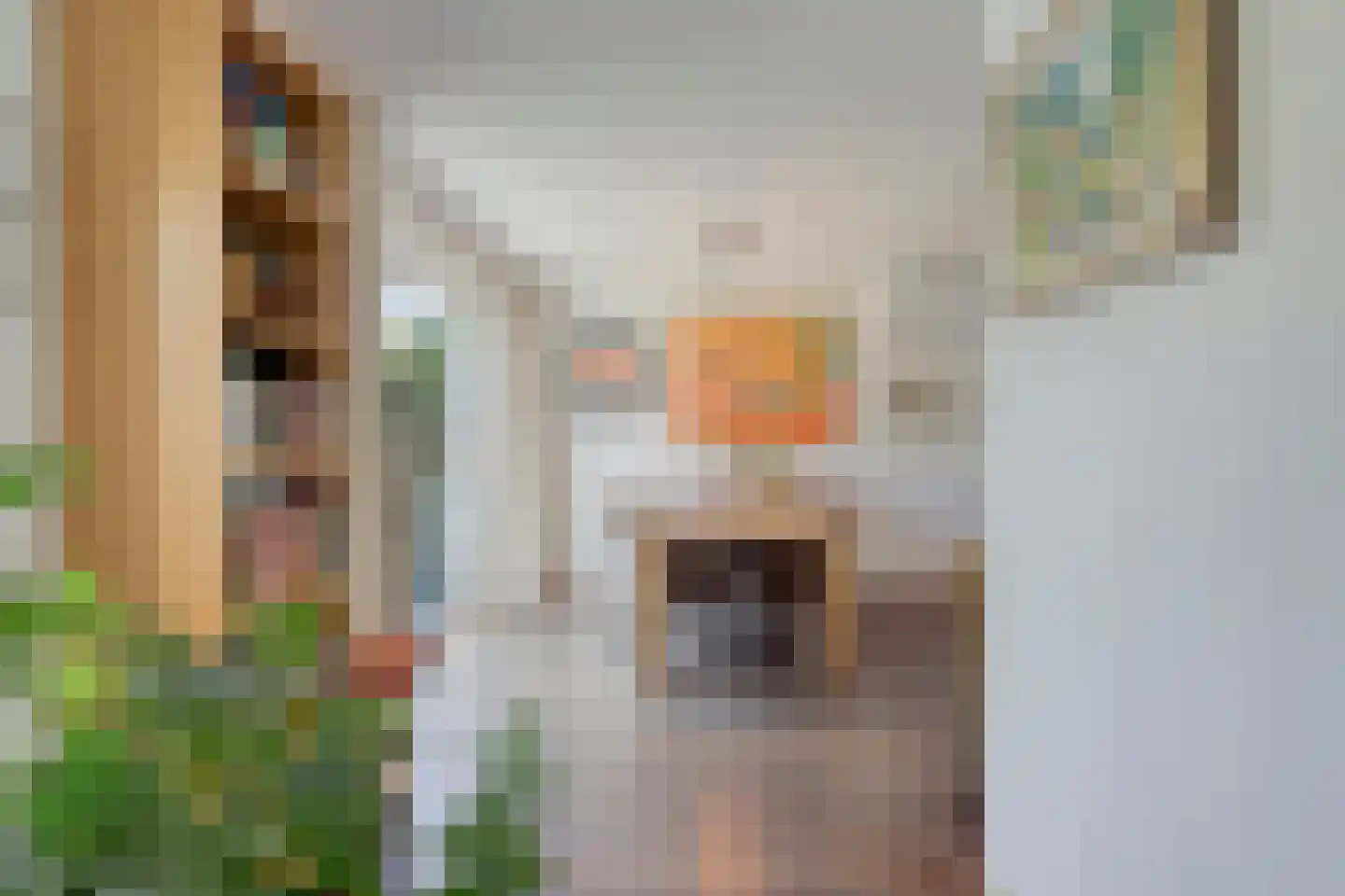 Standerdmolen 121 Herten thumbnail 16