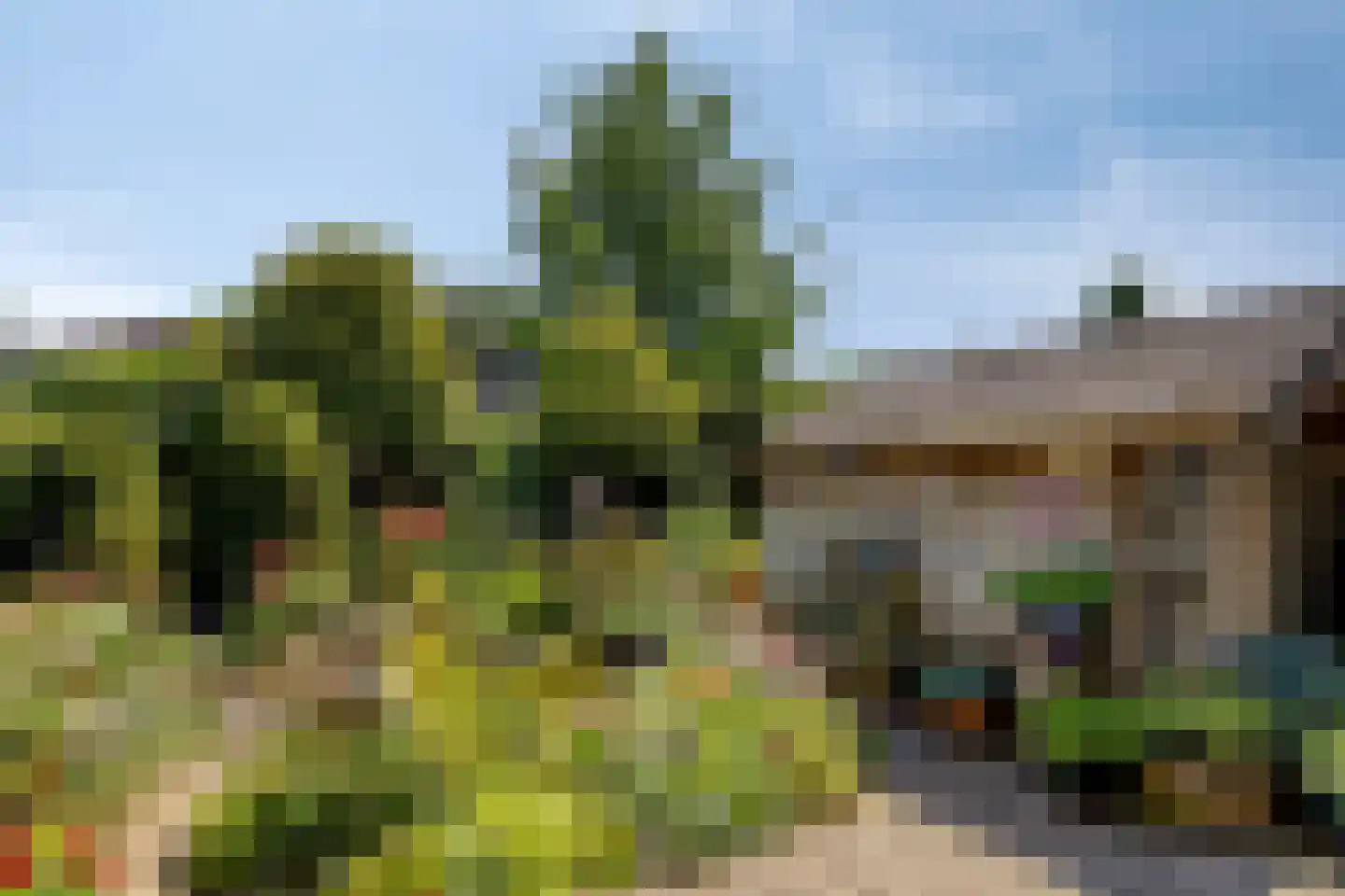 Standerdmolen 121 Herten thumbnail 34
