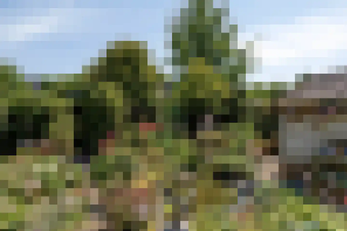 Standerdmolen 121 Herten thumbnail 37