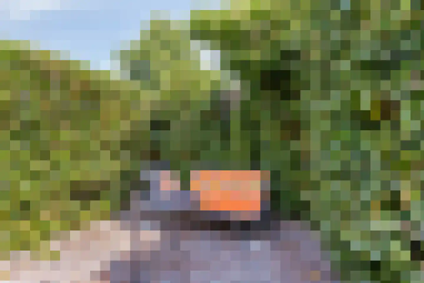 Standerdmolen 121 Herten thumbnail 39