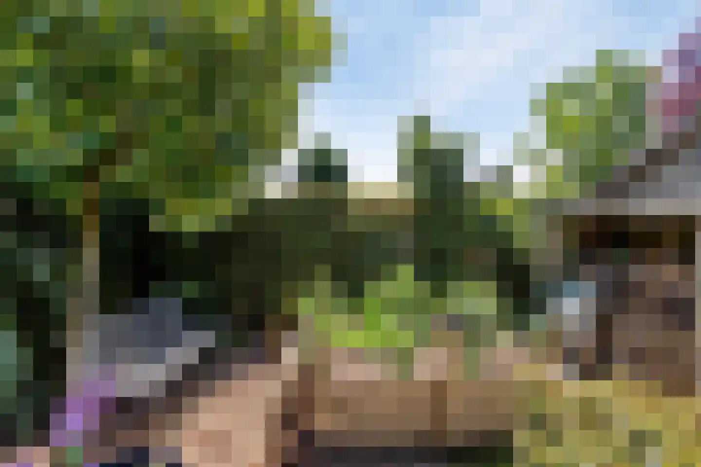 Standerdmolen 121 Herten thumbnail 40