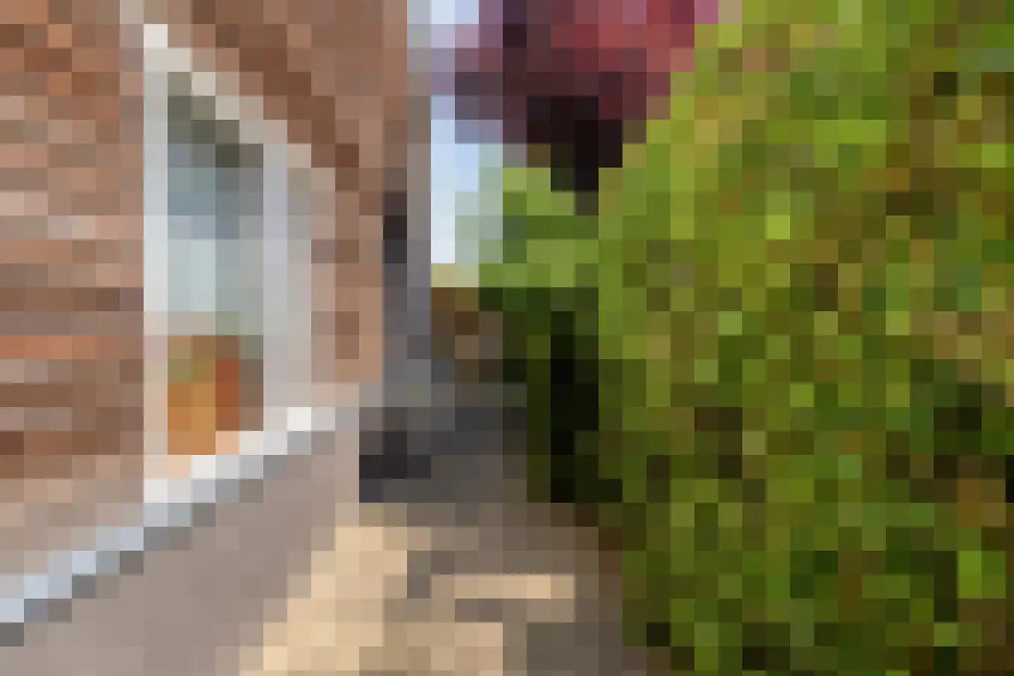 Standerdmolen 121 Herten thumbnail 43