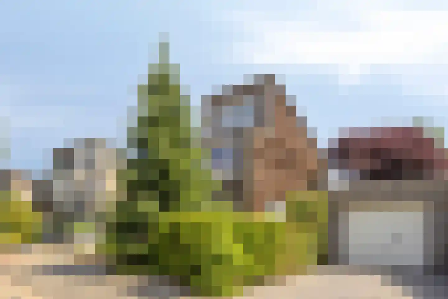 Standerdmolen 121 Herten thumbnail 46