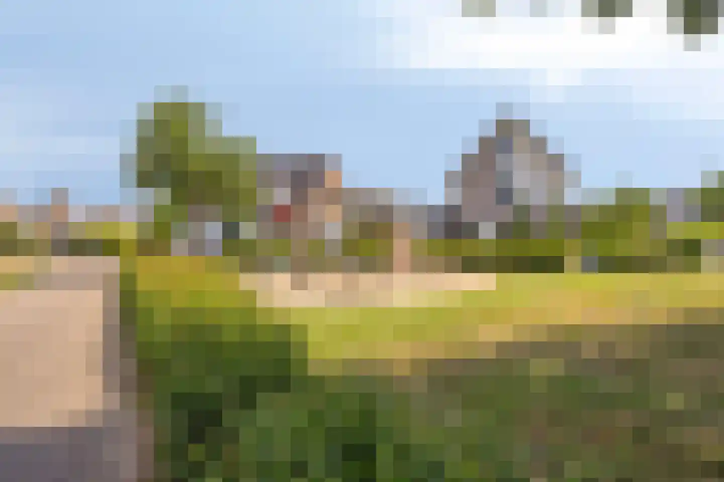 Standerdmolen 121 Herten thumbnail 50