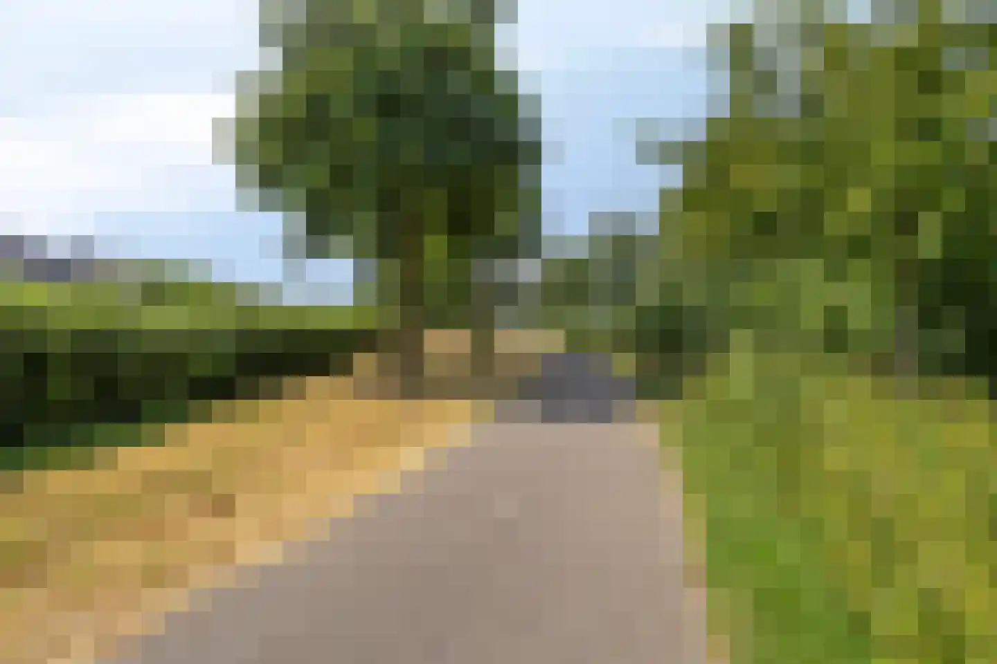 Standerdmolen 121 Herten thumbnail 51