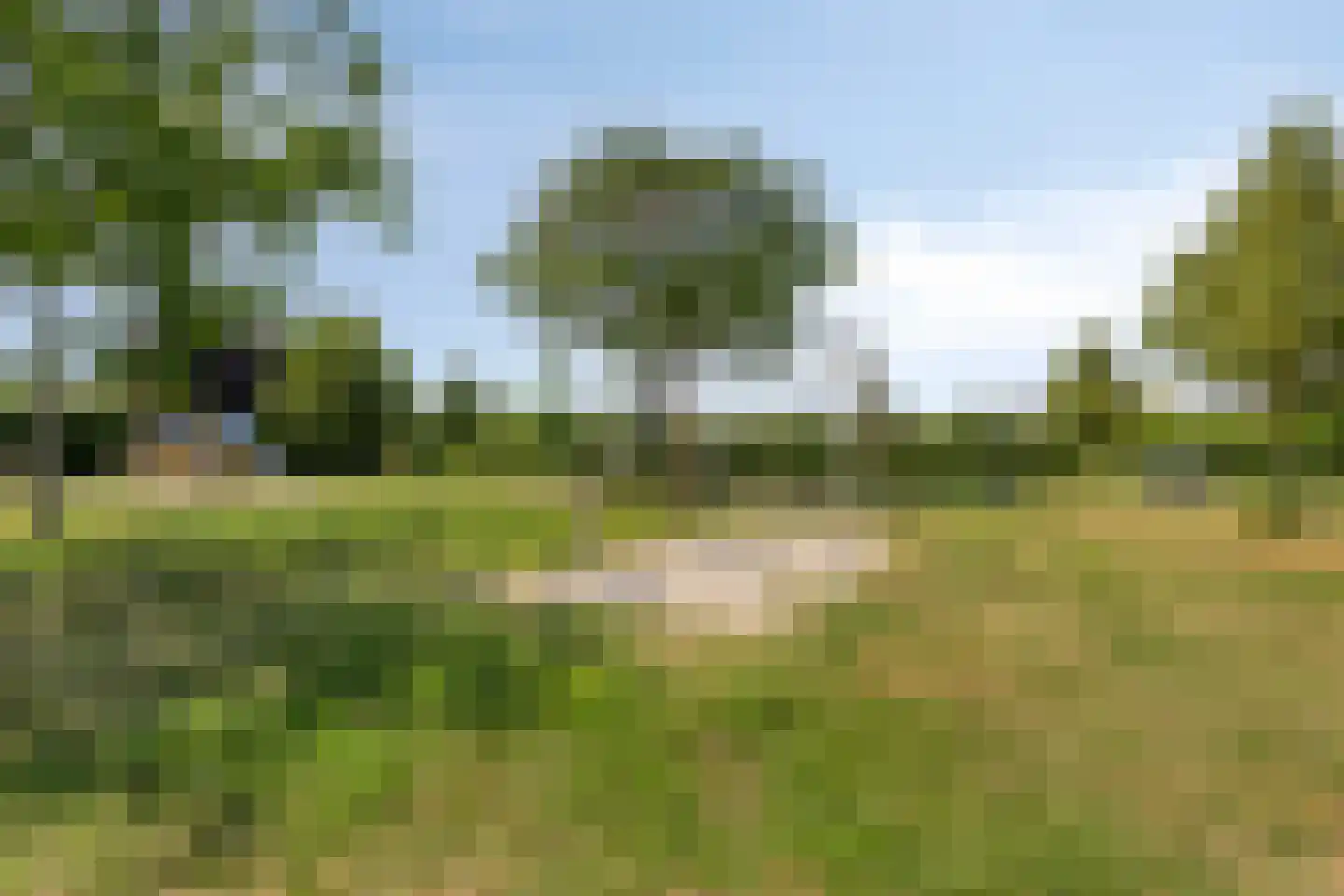 Standerdmolen 121 Herten thumbnail 52