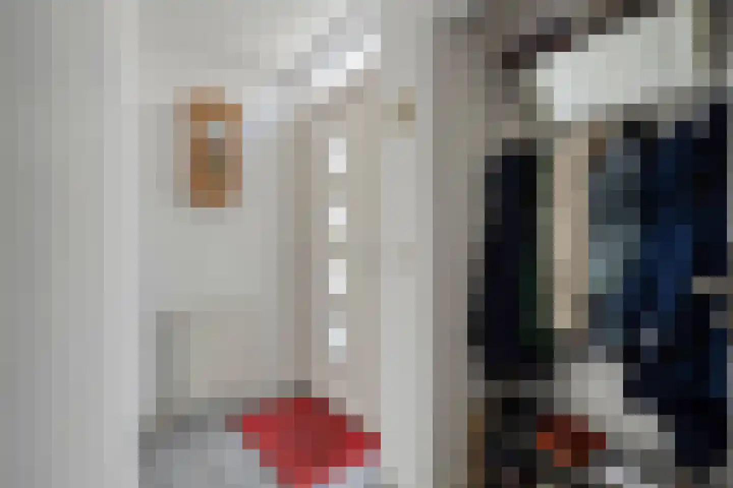 Standerdmolen 121 Herten thumbnail 8