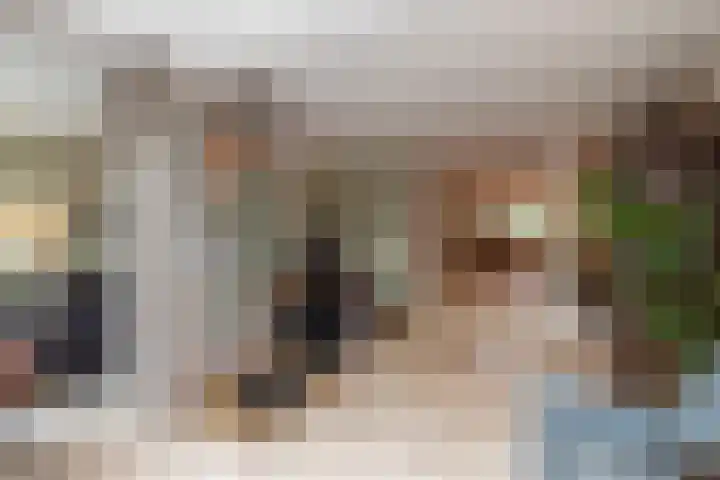 Standerdmolen 18 Papendrecht thumbnail 13