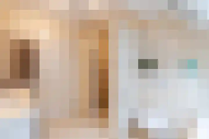 Standerdmolen 18 Papendrecht thumbnail 32