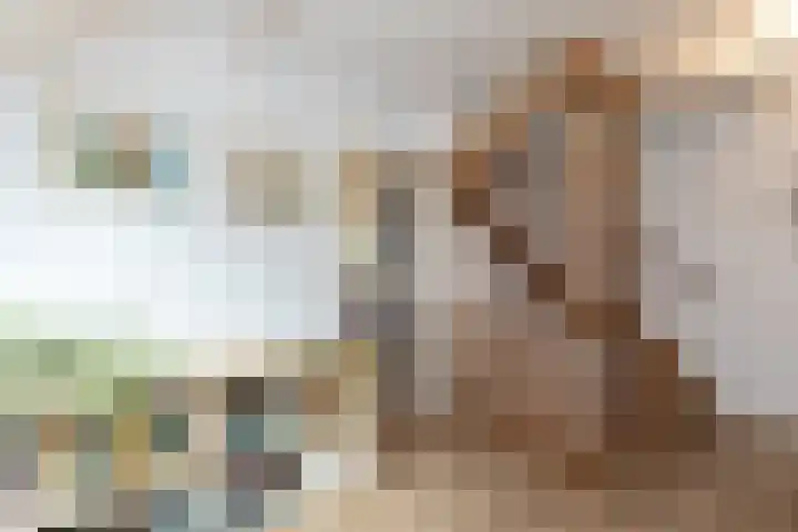 Standerdmolen 18 Papendrecht thumbnail 33