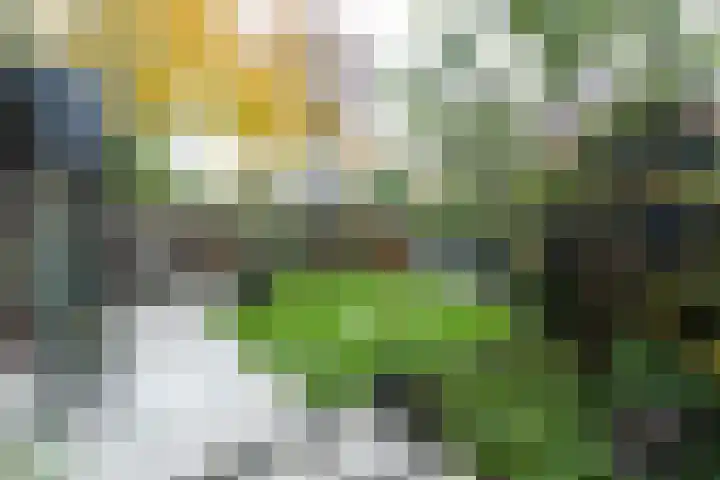 Standerdmolen 18 Papendrecht thumbnail 39