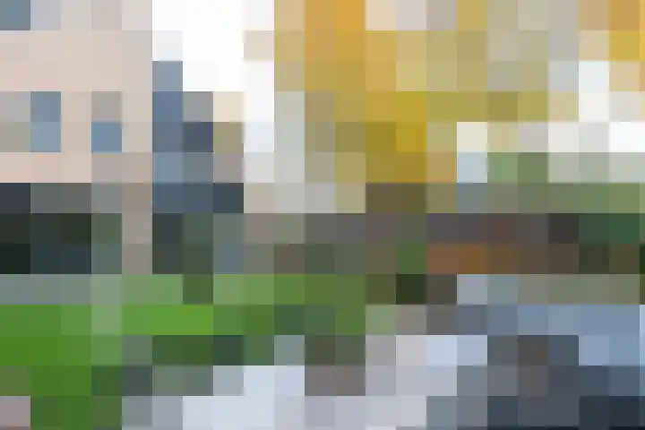 Standerdmolen 18 Papendrecht thumbnail 4