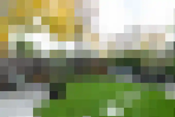 Standerdmolen 18 Papendrecht thumbnail 40