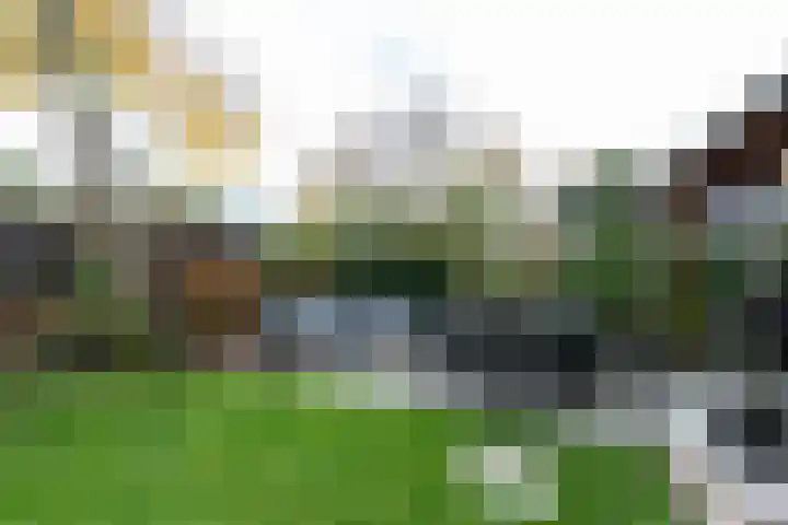 Standerdmolen 18 Papendrecht thumbnail 43