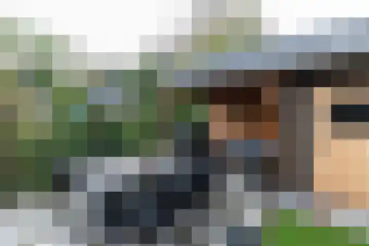 Standerdmolen 18 Papendrecht thumbnail 44