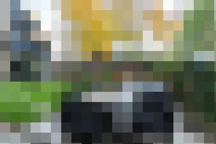 Standerdmolen 18 Papendrecht thumbnail 47