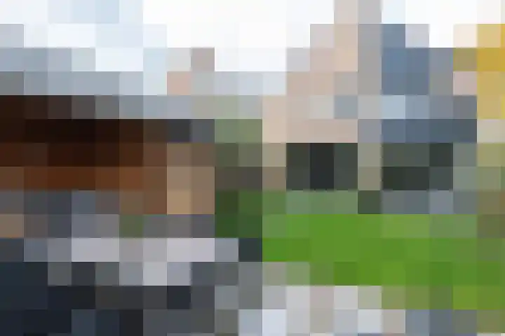 Standerdmolen 18 Papendrecht thumbnail 48