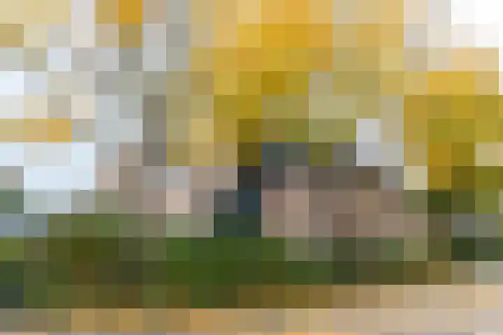 Standerdmolen 18 Papendrecht thumbnail 5