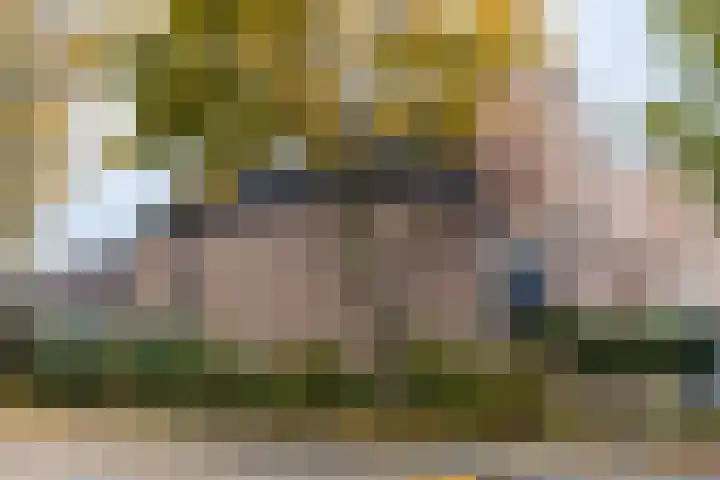Standerdmolen 18 Papendrecht thumbnail 51