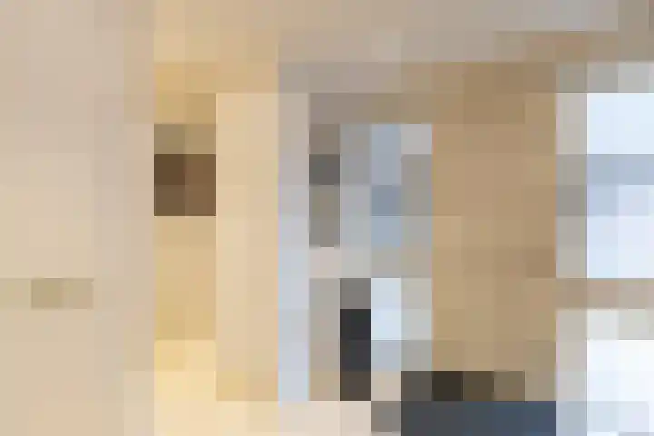 Standerdmolen 18 Papendrecht thumbnail 6